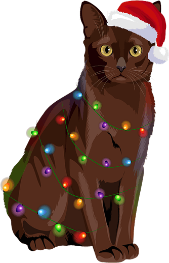 Tangled Christmas Lights PNG