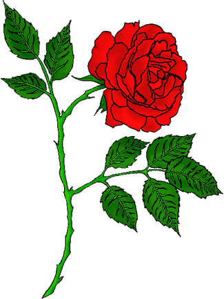 Rose Tattoo PNG