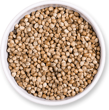 Hemp Seeds PNG