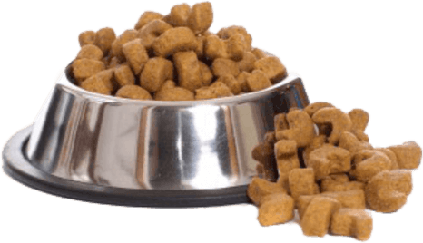 Dog Food PNG