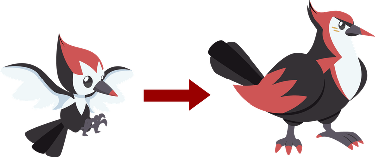 Pikipek Pokemon PNG