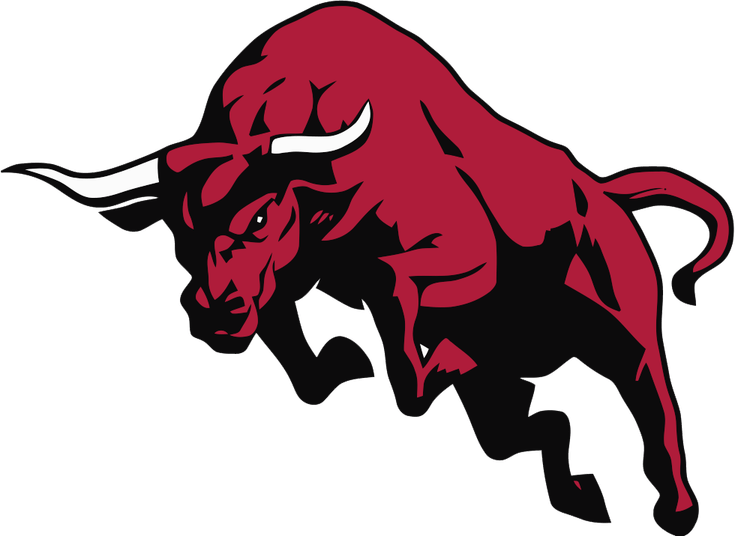 Raging Bull PNG
