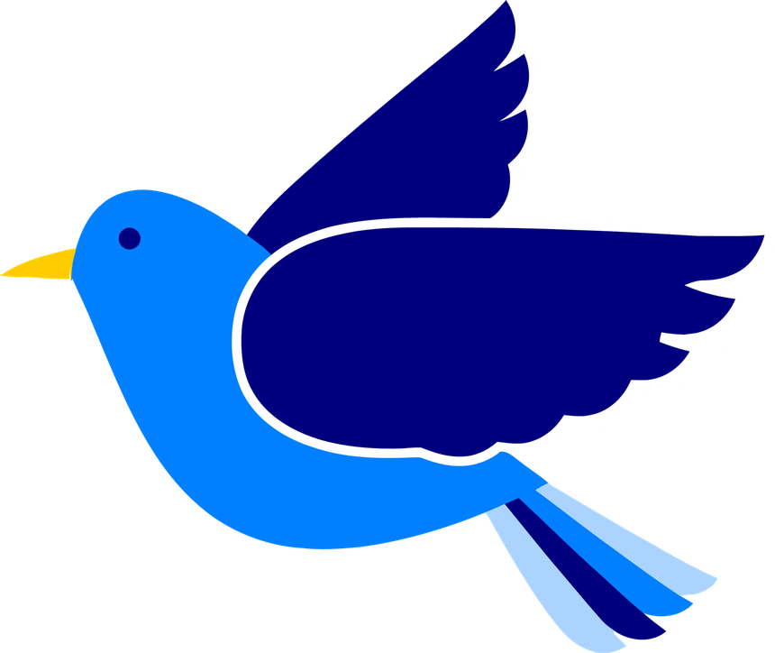 Bird Flying PNG
