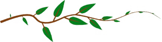 Jungle Vines PNG