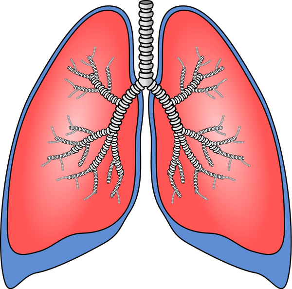 Pulmonologist PNG