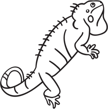 Madagascar Iguanids PNG