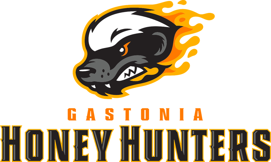 Gastonia Honey Hunters PNG