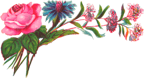 Rose Corner PNG