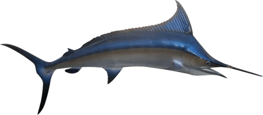Sword Fish PNG