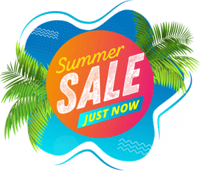 Summer Sale Banner PNG