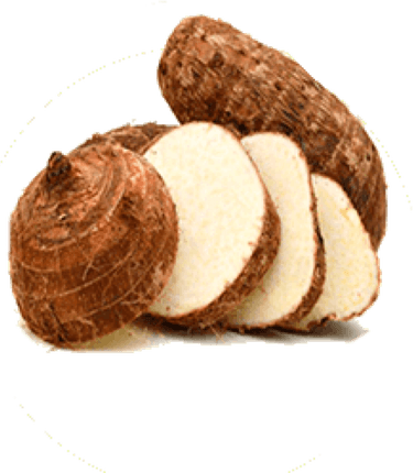 Colocasia Root PNG