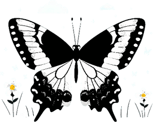 Black And White Butterfly PNG