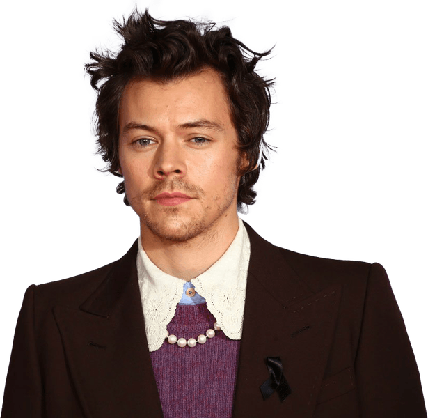 Harry Styles PNG