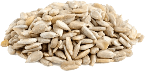 Sesame Seeds PNG