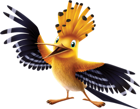 Rhinoceros Hornbill PNG