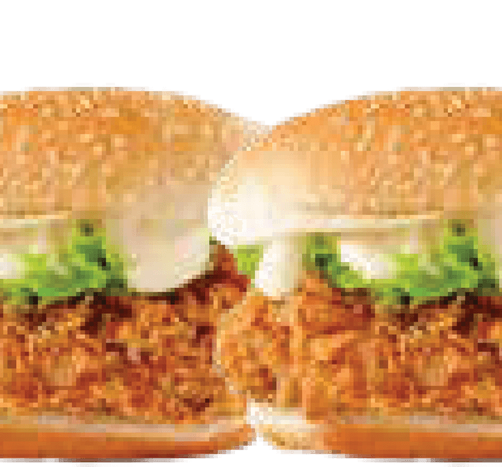 2 Zinger Burger PNG