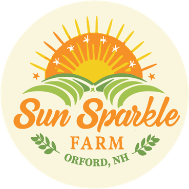 Sun Sparkle PNG