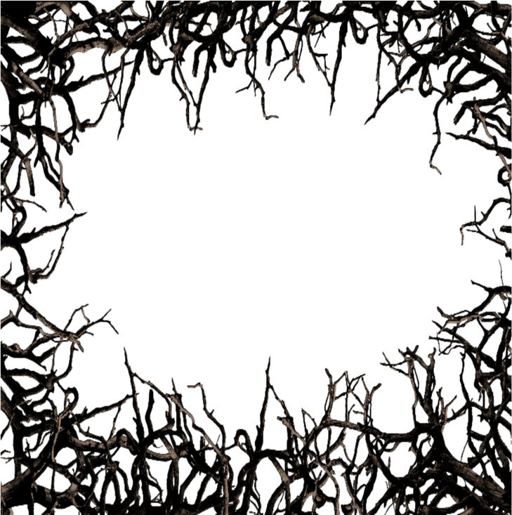 Thorn Border PNG