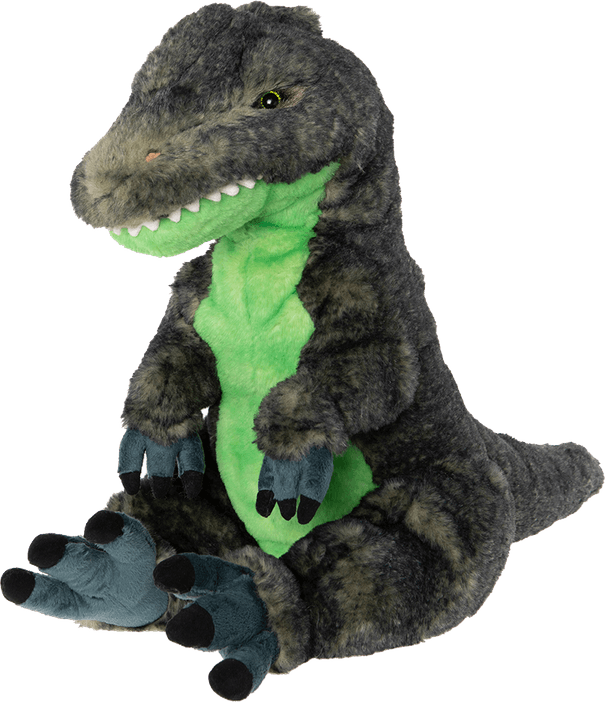 Dinosaur Eyes PNG