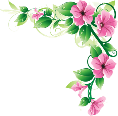 Silver Flower Border PNG