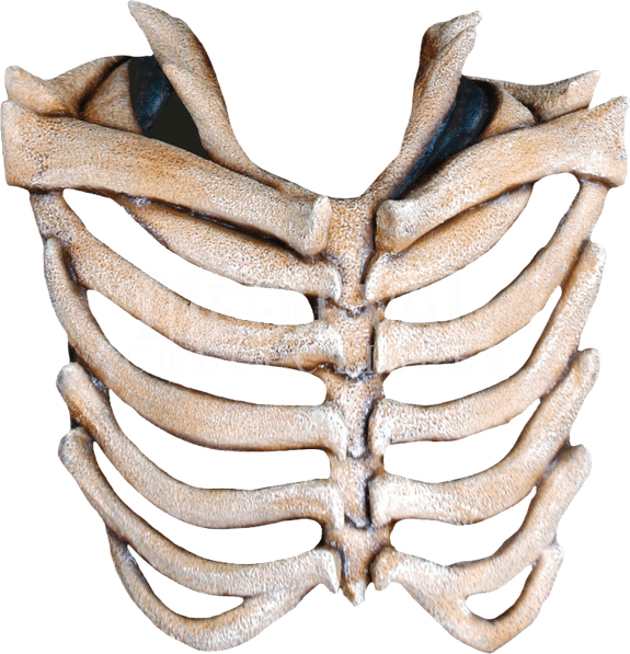 Rib Cage PNG