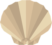 Clams PNG