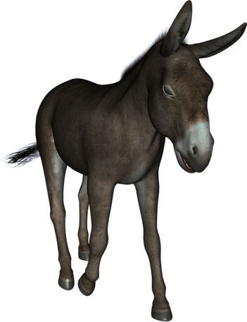 Mule PNG
