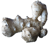 Jerusalem Artichokes PNG