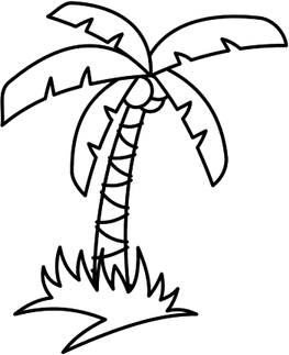 Palmera PNG