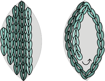 Chain Stitch PNG