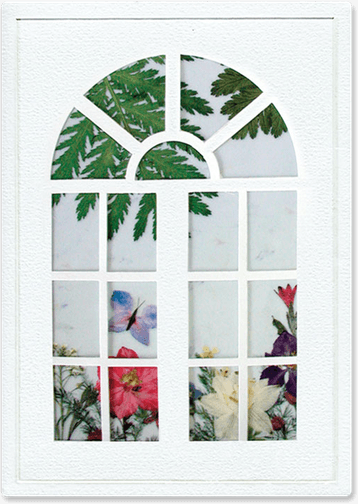 Window Flower PNG