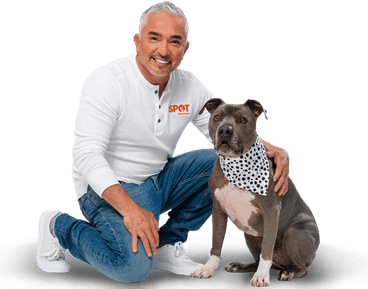 Cesar Millan PNG