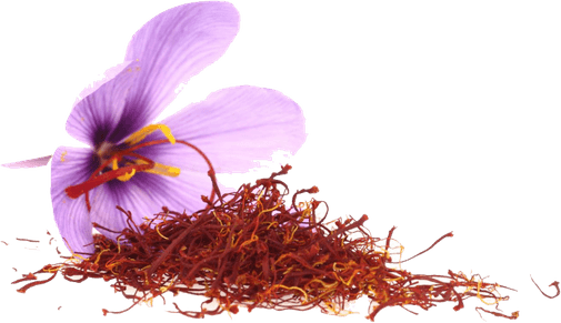 Saffron PNG
