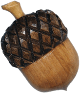 Acorn PNG