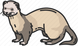 Otters PNG