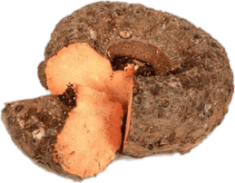 Elephant Root Yam PNG