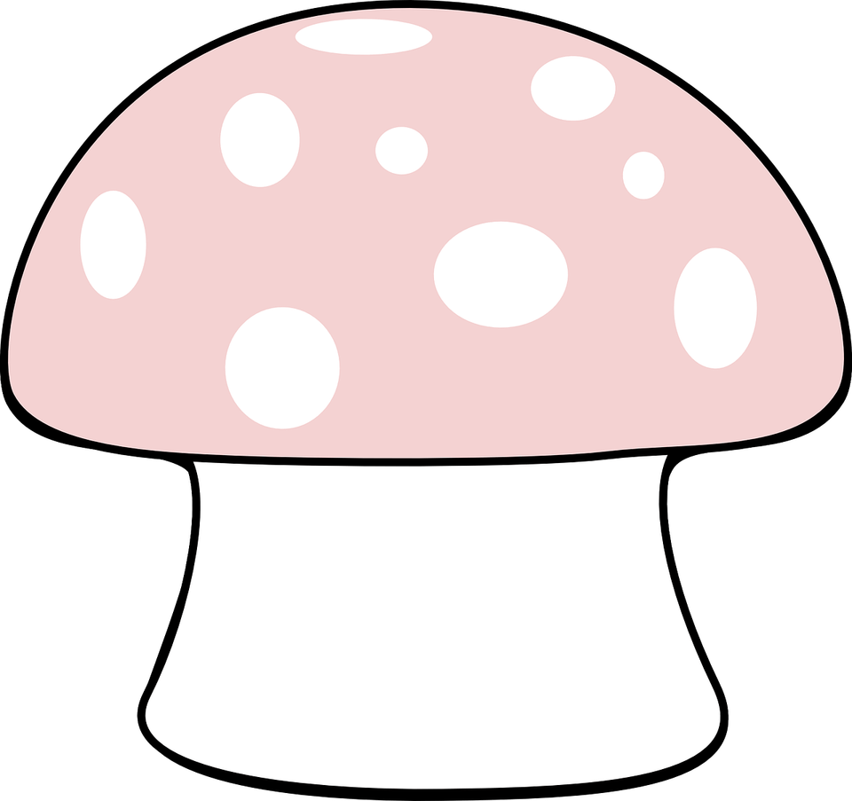 Mushroom Circle PNG