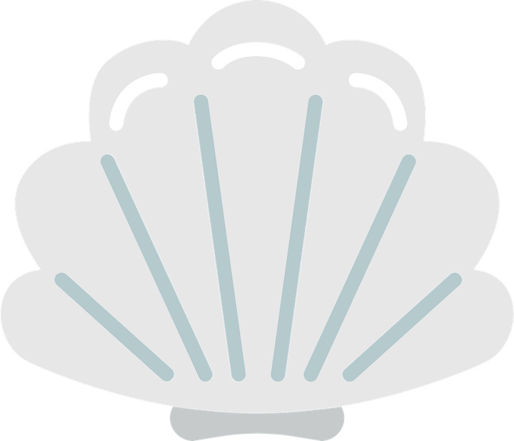 Seashell PNG