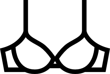 Brassiere PNG