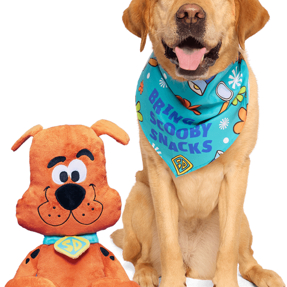 Scooby Doo Dog PNG