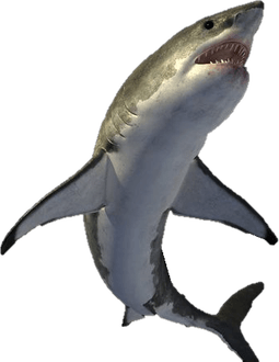 Megalodon PNG