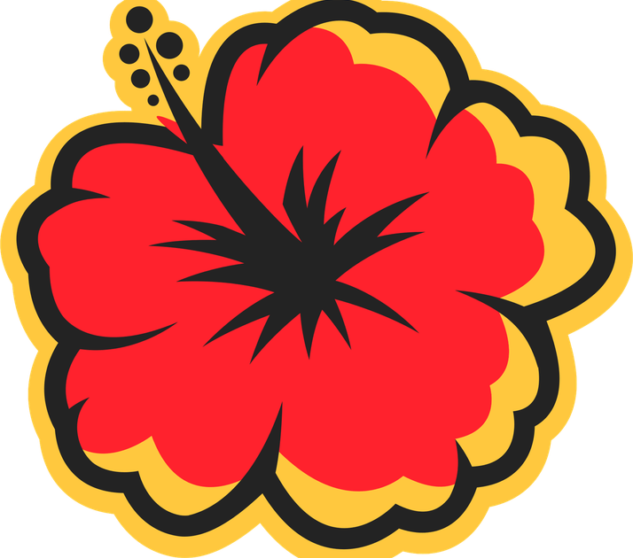 Hawaii Flower PNG