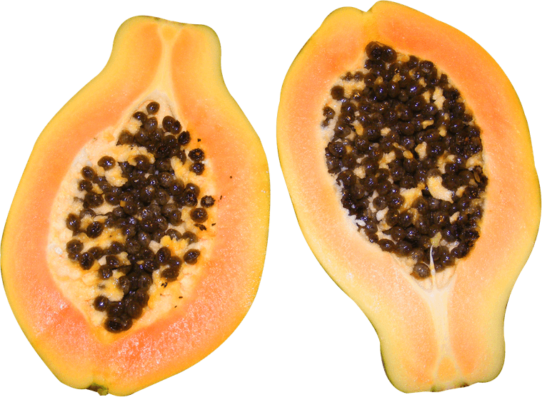 Raw Papaya PNG