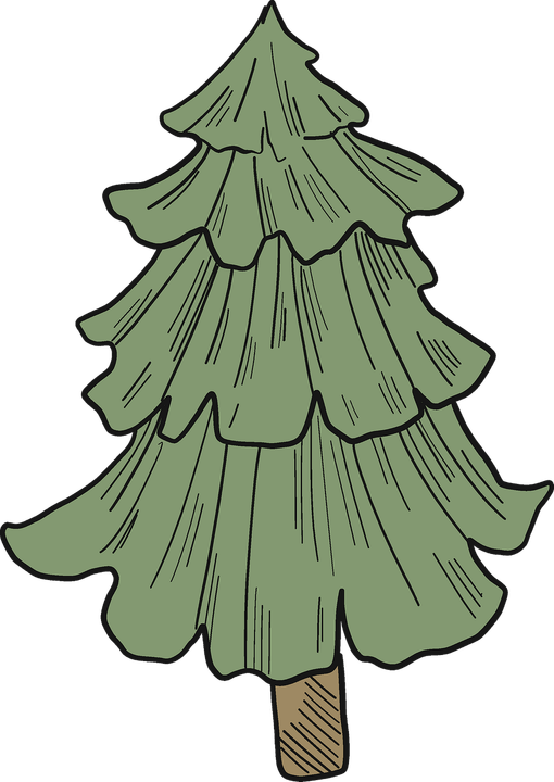 Cartoon Evergreen Tree PNG