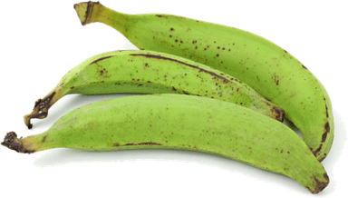 Plantain PNG