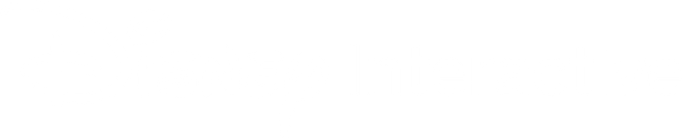 Disney Interactive Logo PNG