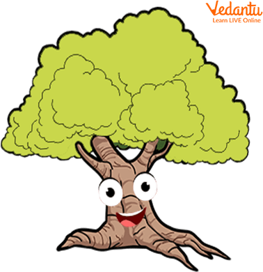 Walking Tree PNG