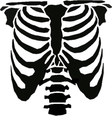 Rib Cage PNG