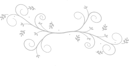 Grey Flower Border PNG