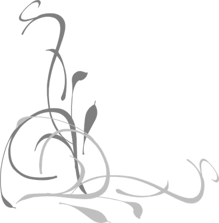 Grey Flower Border PNG